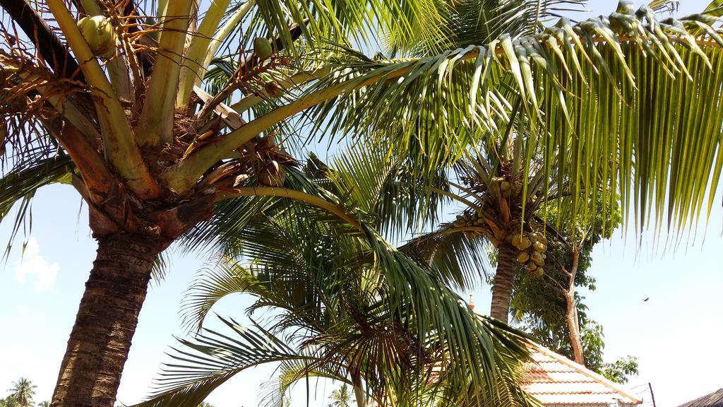 Niya Nest Homestay Kochi Esterno foto